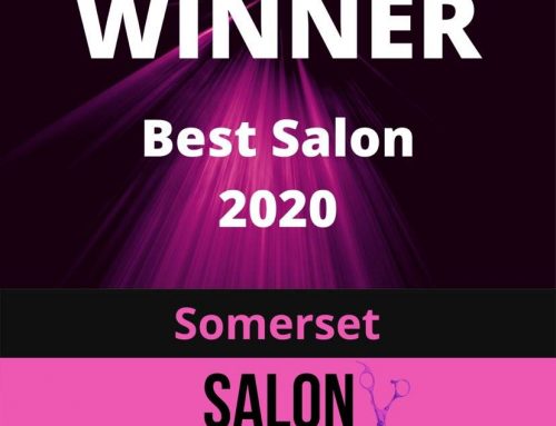 Best Salon Winners – Somerset